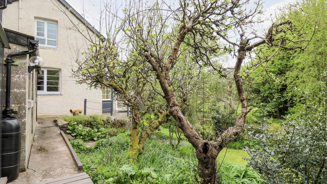 Photo of Outdoor in Knighton