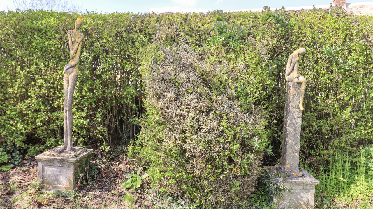 Photo of Others in Swindon