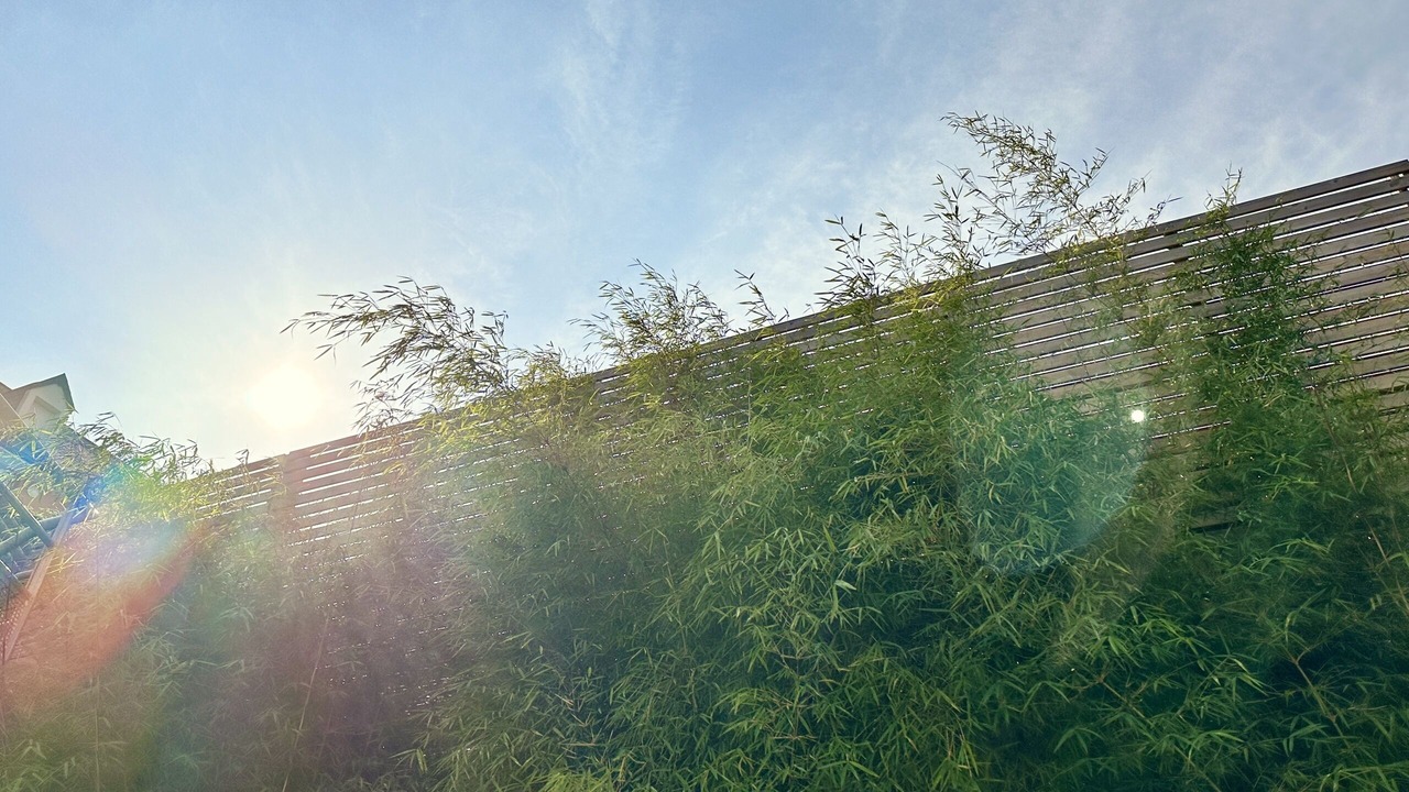 Photo of Outdoor in Miroir - Batignolles