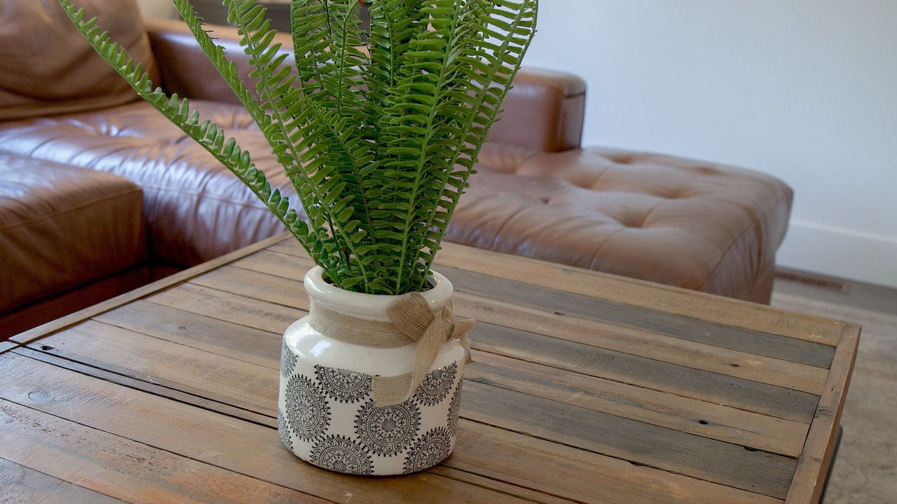 Photo of Others in Kelseyville