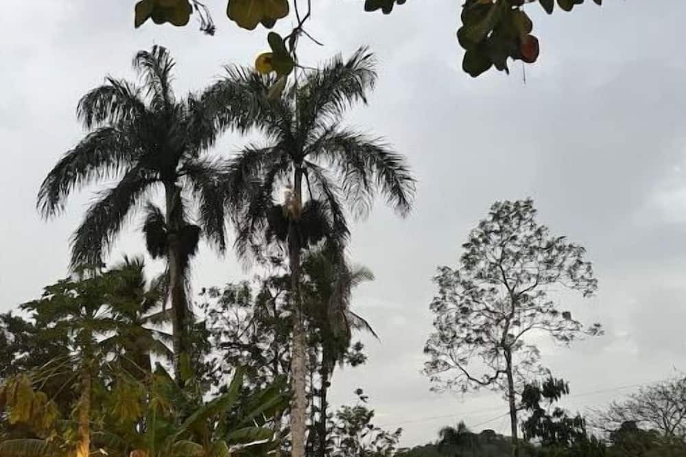 Photo of Outdoor in Cotui