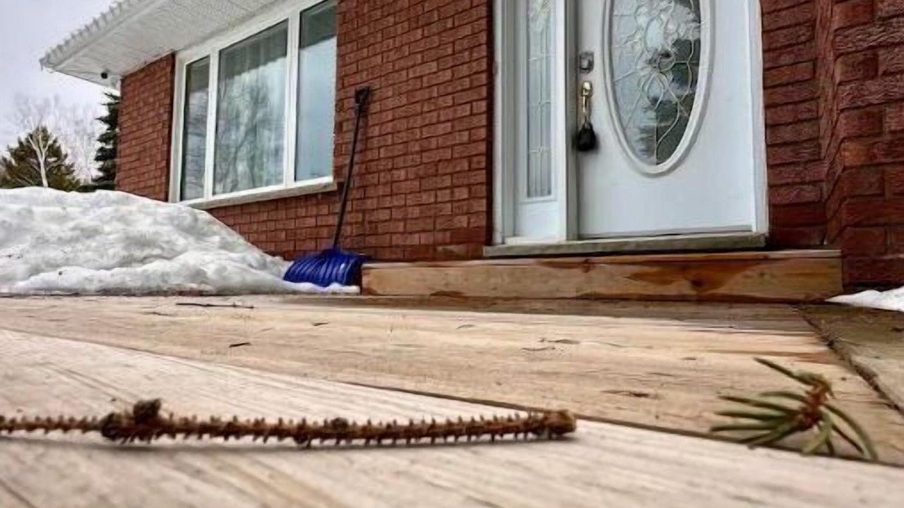 Photo of Outdoor in Sudbury