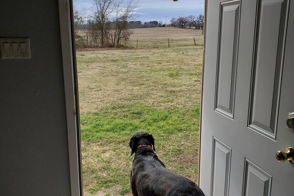Photo of Others in Quitman