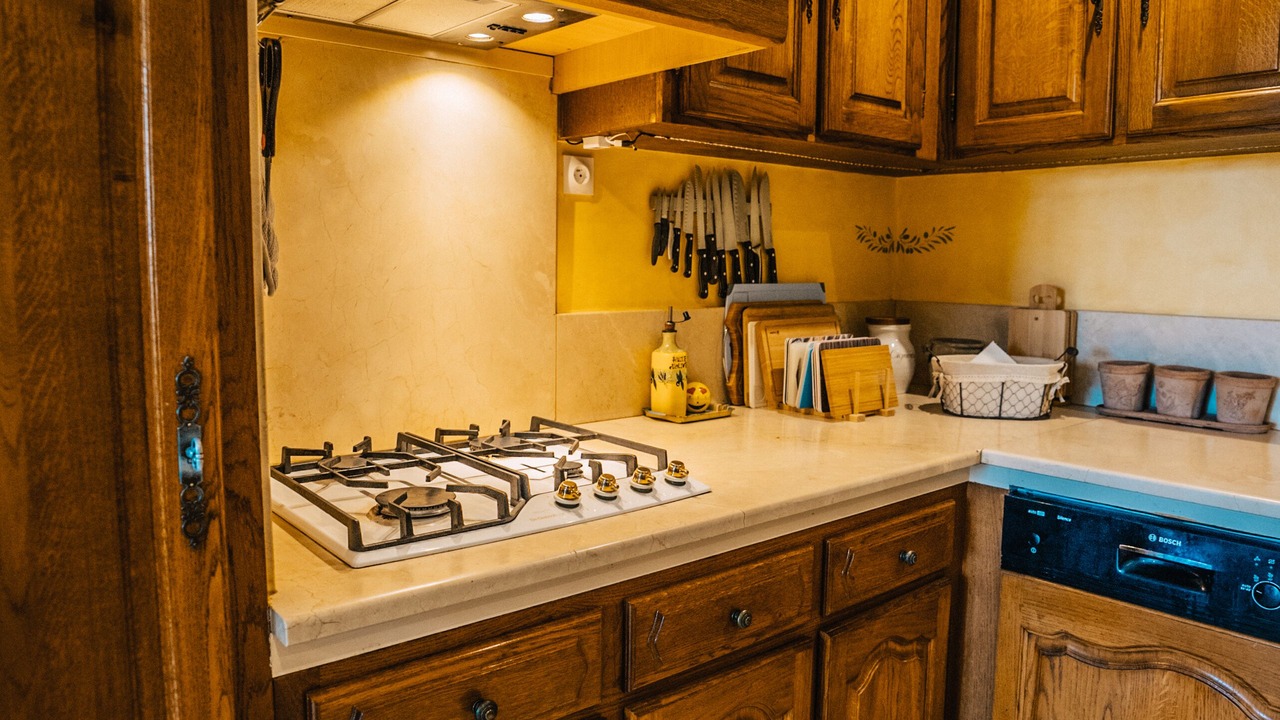 Photo of Kitchen in Venejan