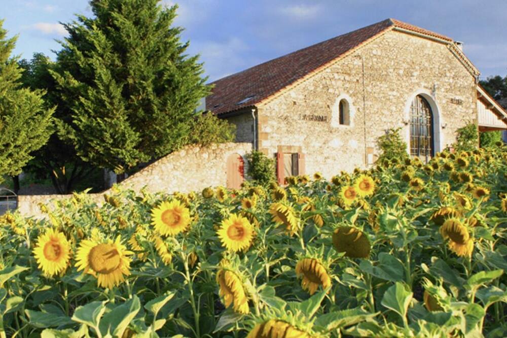 Photo of Outdoor in Touffailles