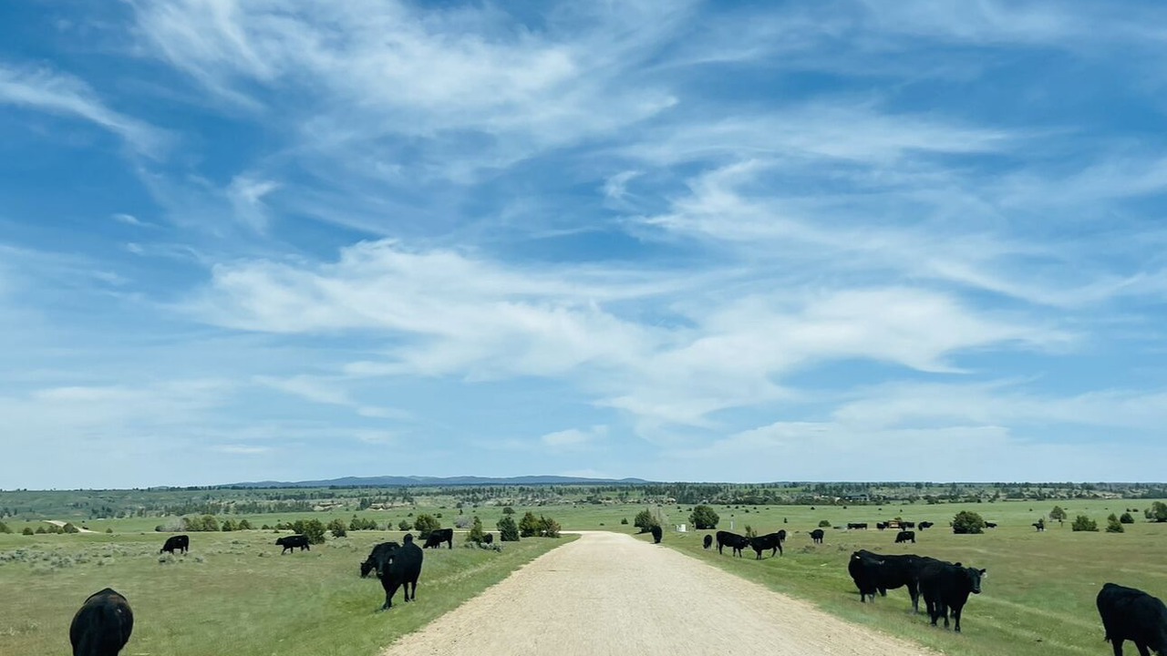 Photo of Outdoor in Moorcroft