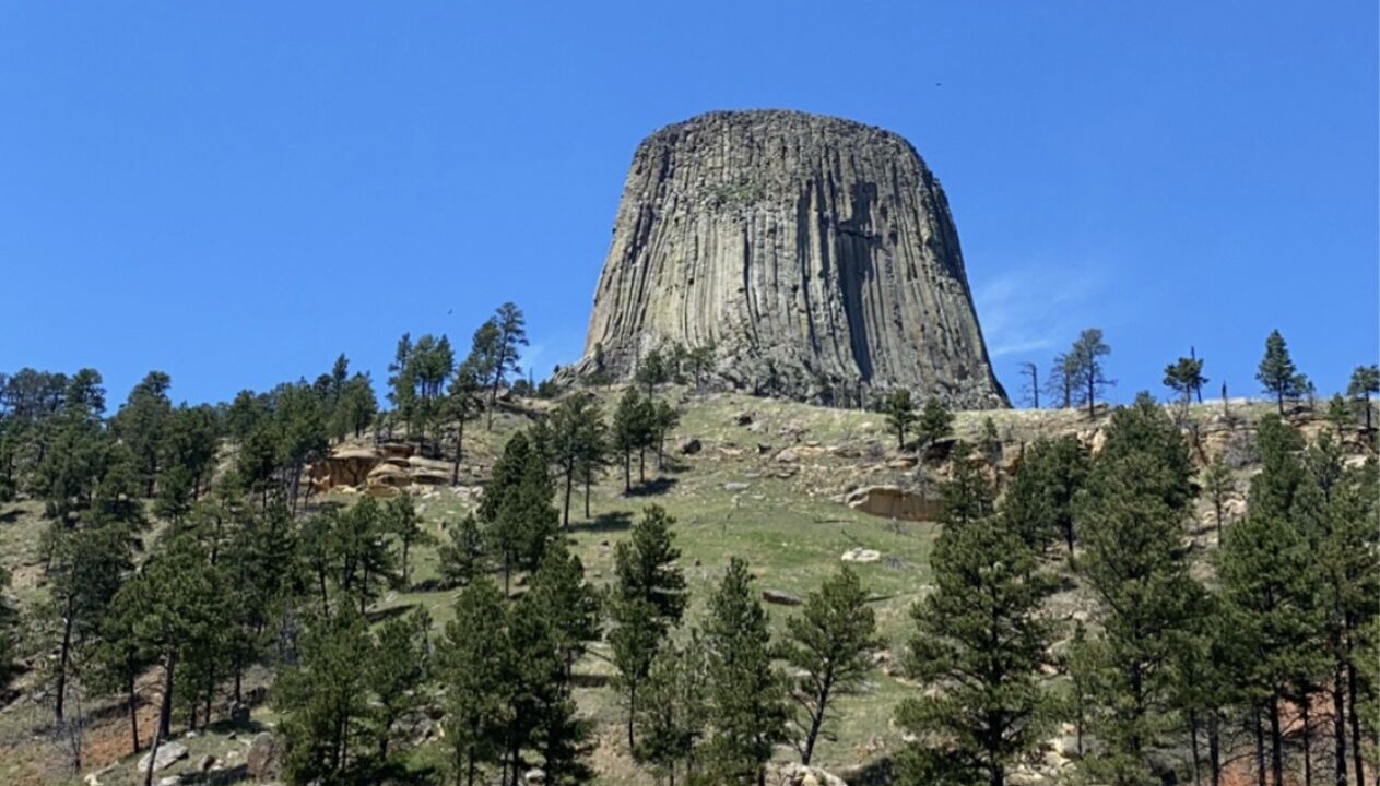 Photo of Others in Moorcroft