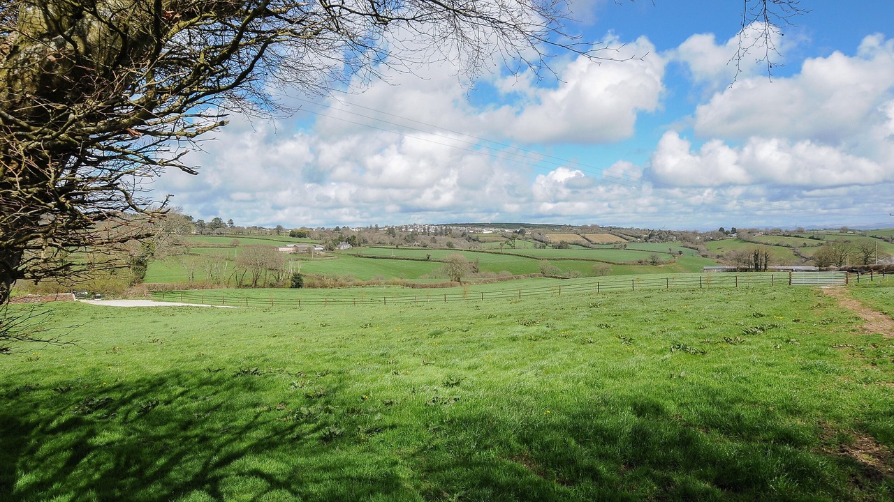 Photo of Others in Looe
