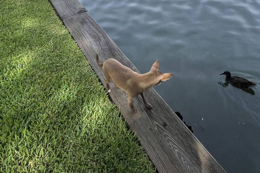 Photo of Others in Bayou Vista