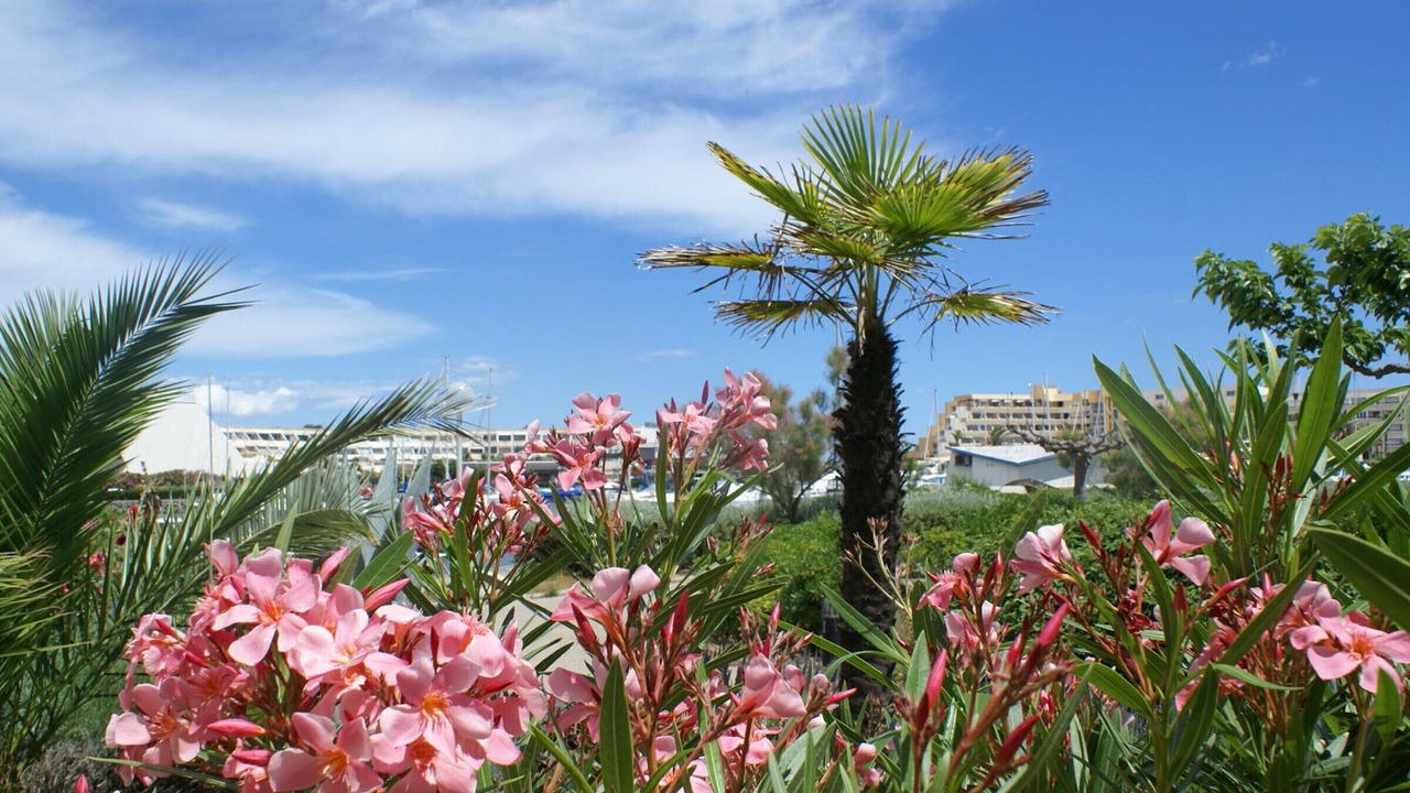 Photo of Outdoor in Naturist Village