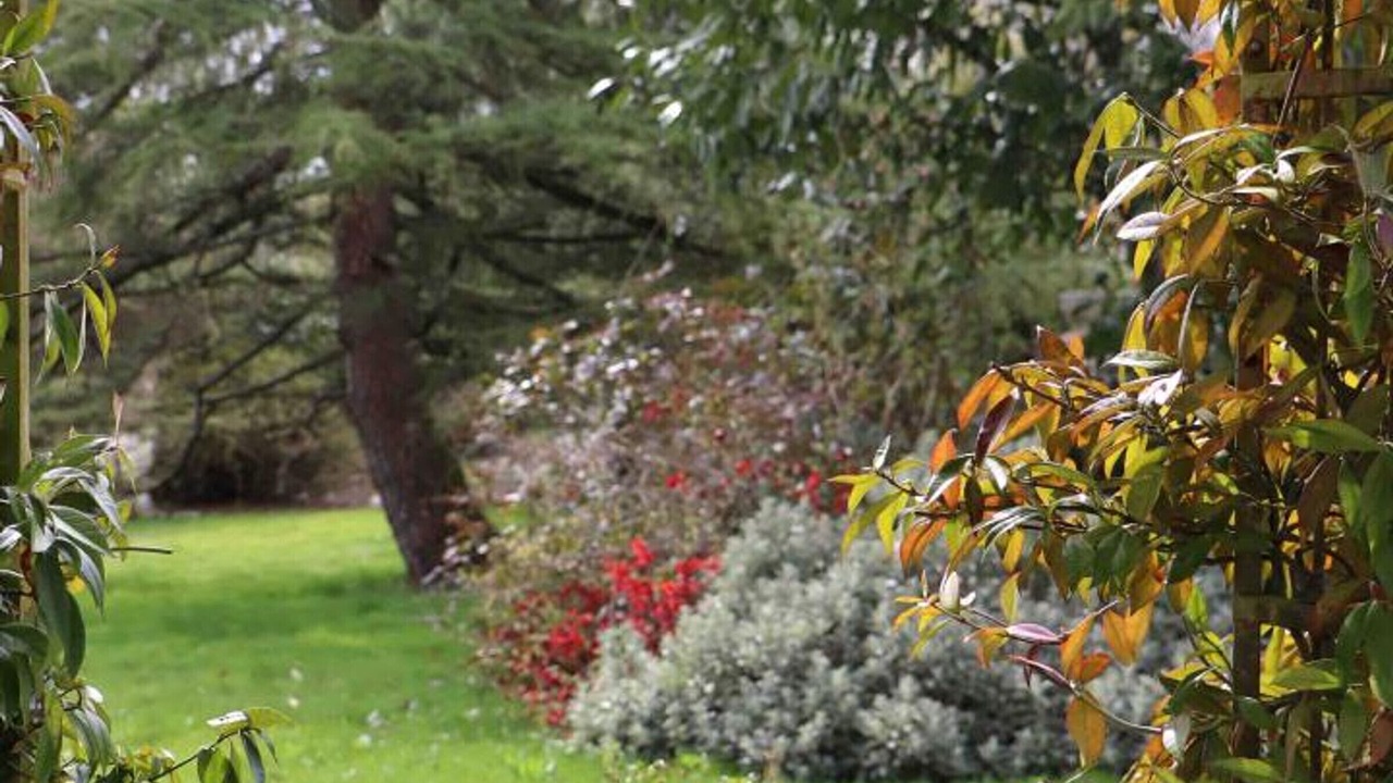 Photo of Outdoor in Saint-Pierre-des-Loges