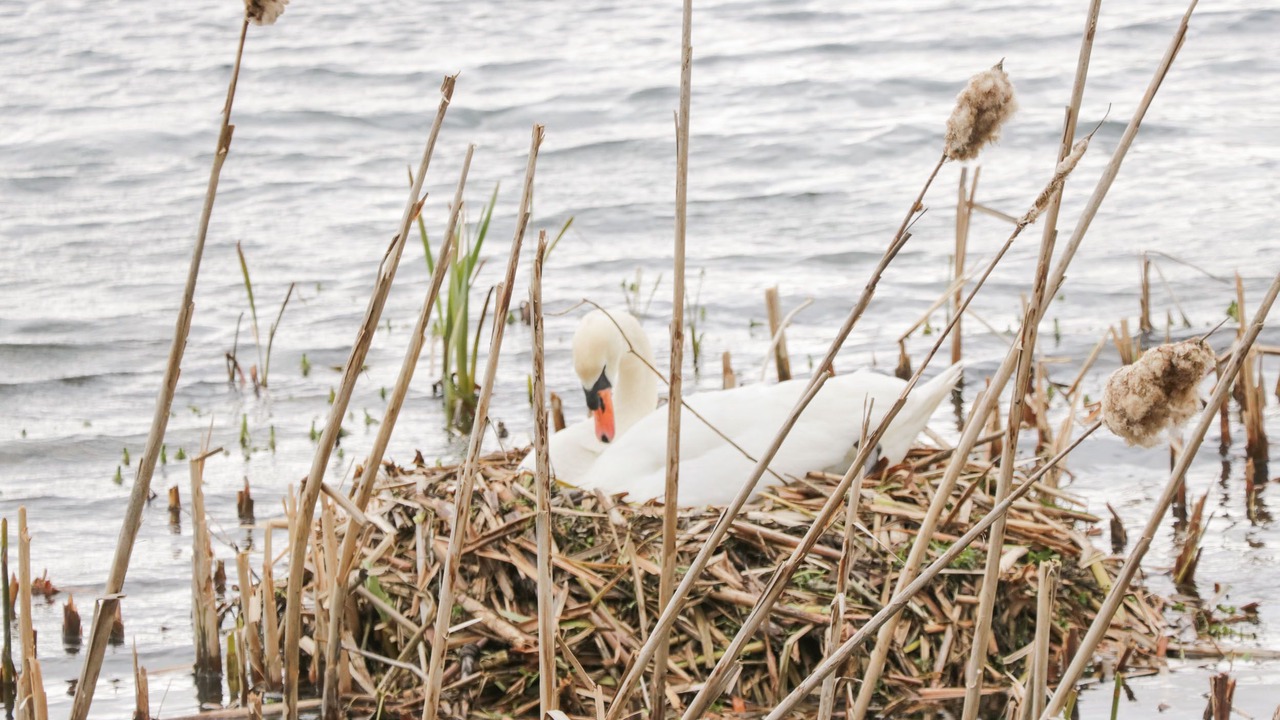 Photo of Outdoor in Tewitfield