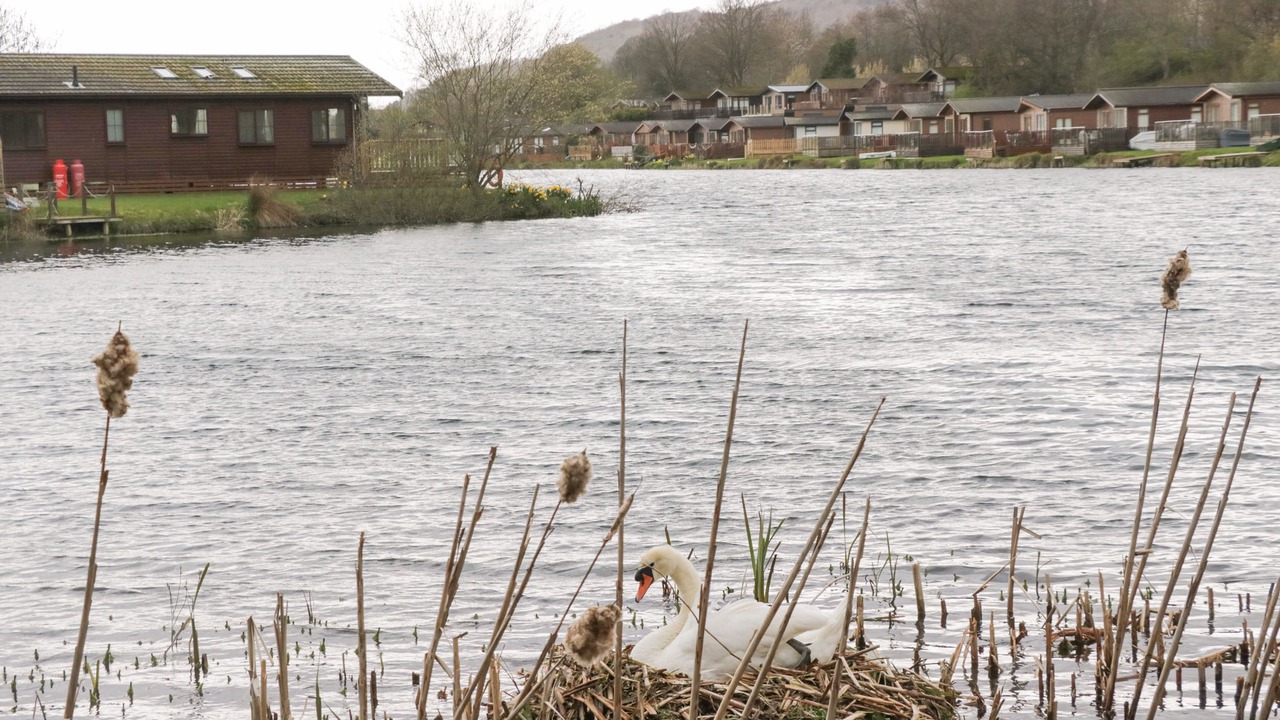 Photo of Others in Tewitfield