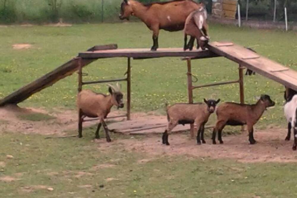 Photo of Outdoor in Heches