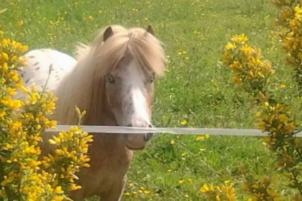 Photo of Outdoor in Heches