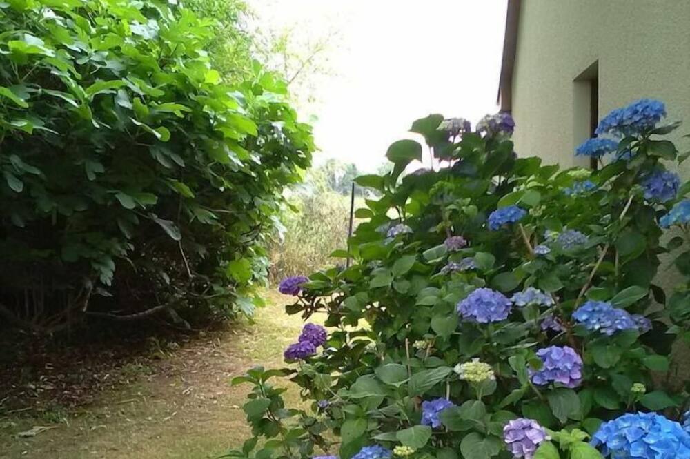 Photo of Outdoor in Heches
