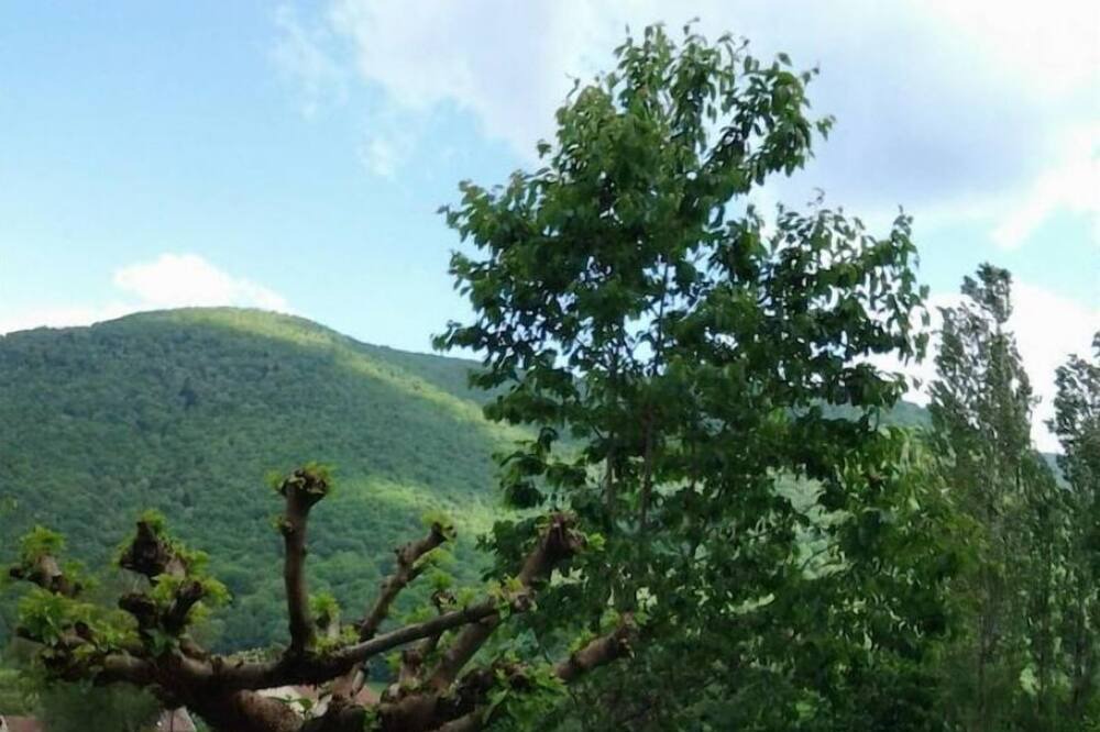 Photo of Outdoor in Heches