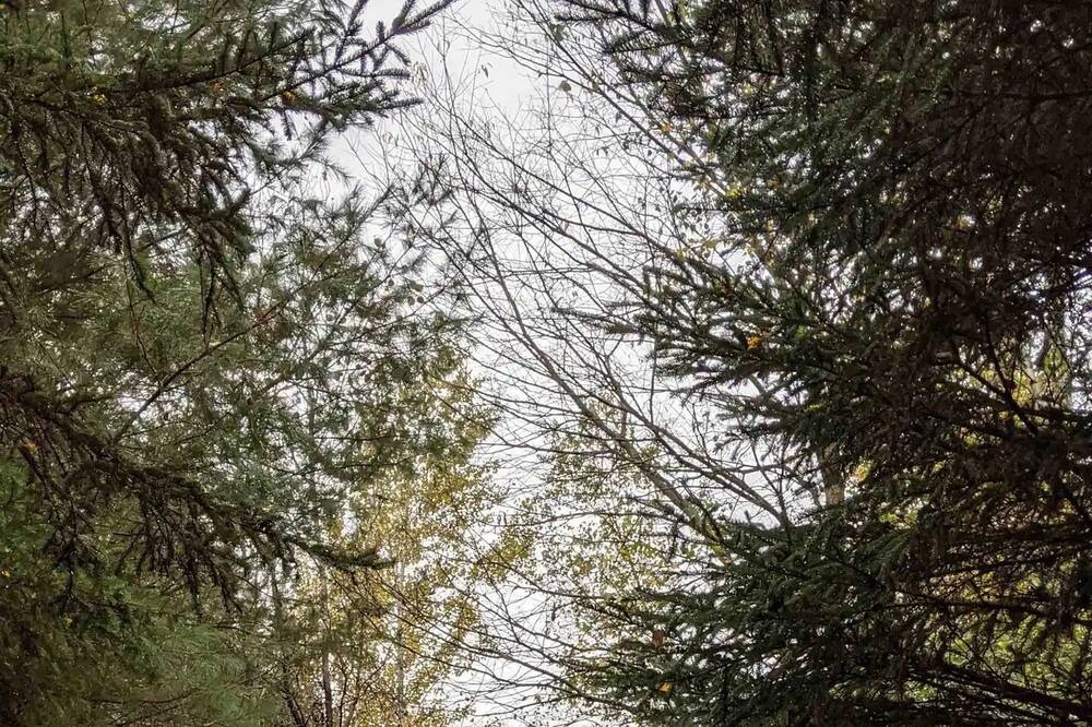 Photo of Outdoor in Bromont