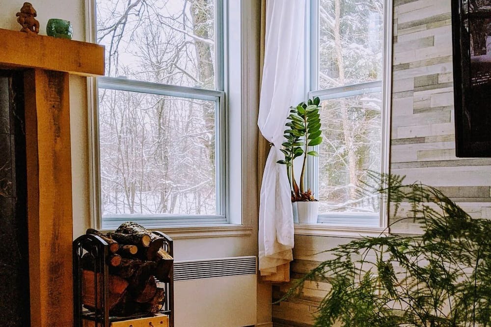 Photo of Livingroom in Bromont