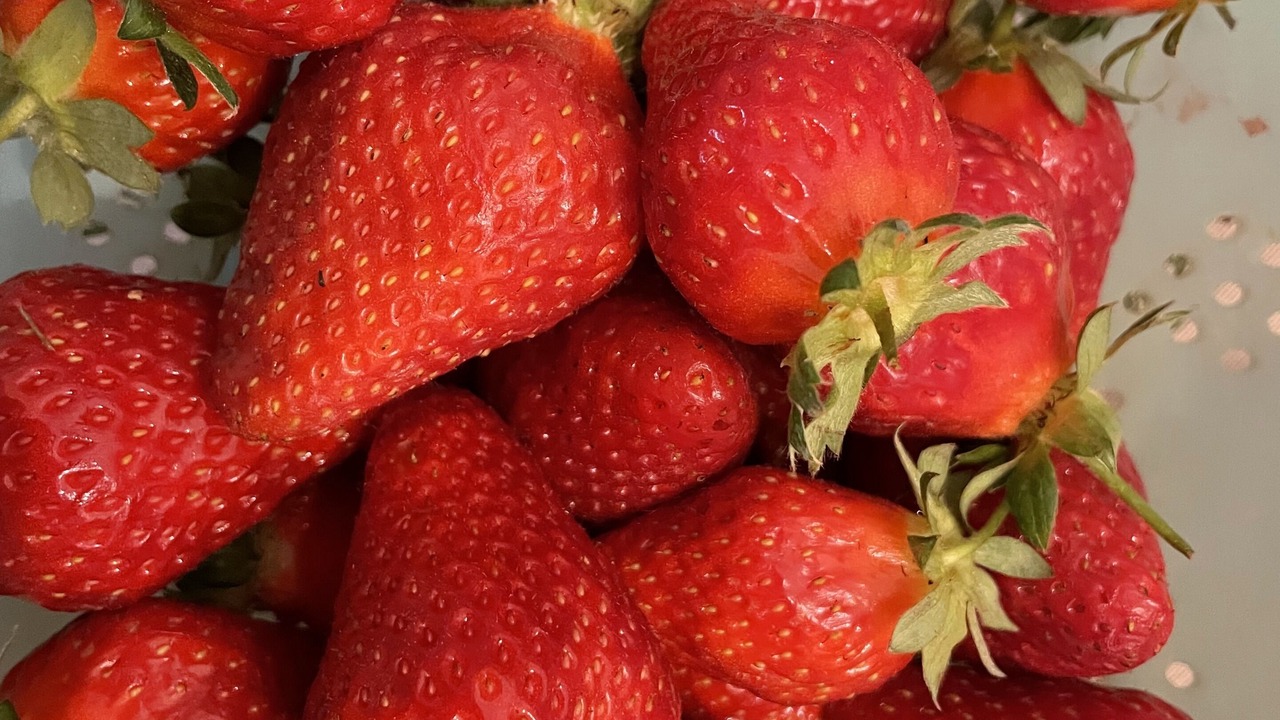 Photo of Others in Saint-Maximin-la-Sainte-Baume