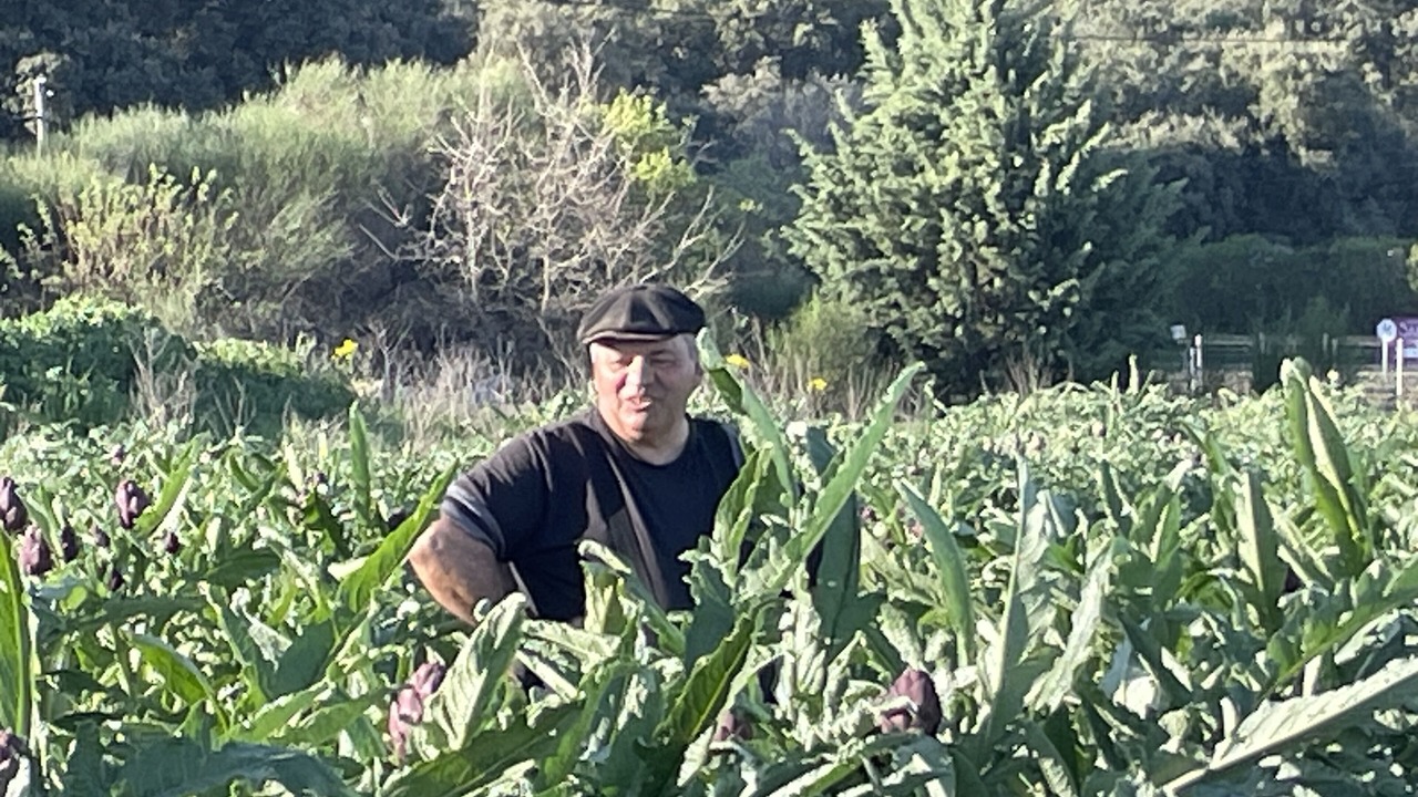 Photo of Others in Saint-Maximin-la-Sainte-Baume