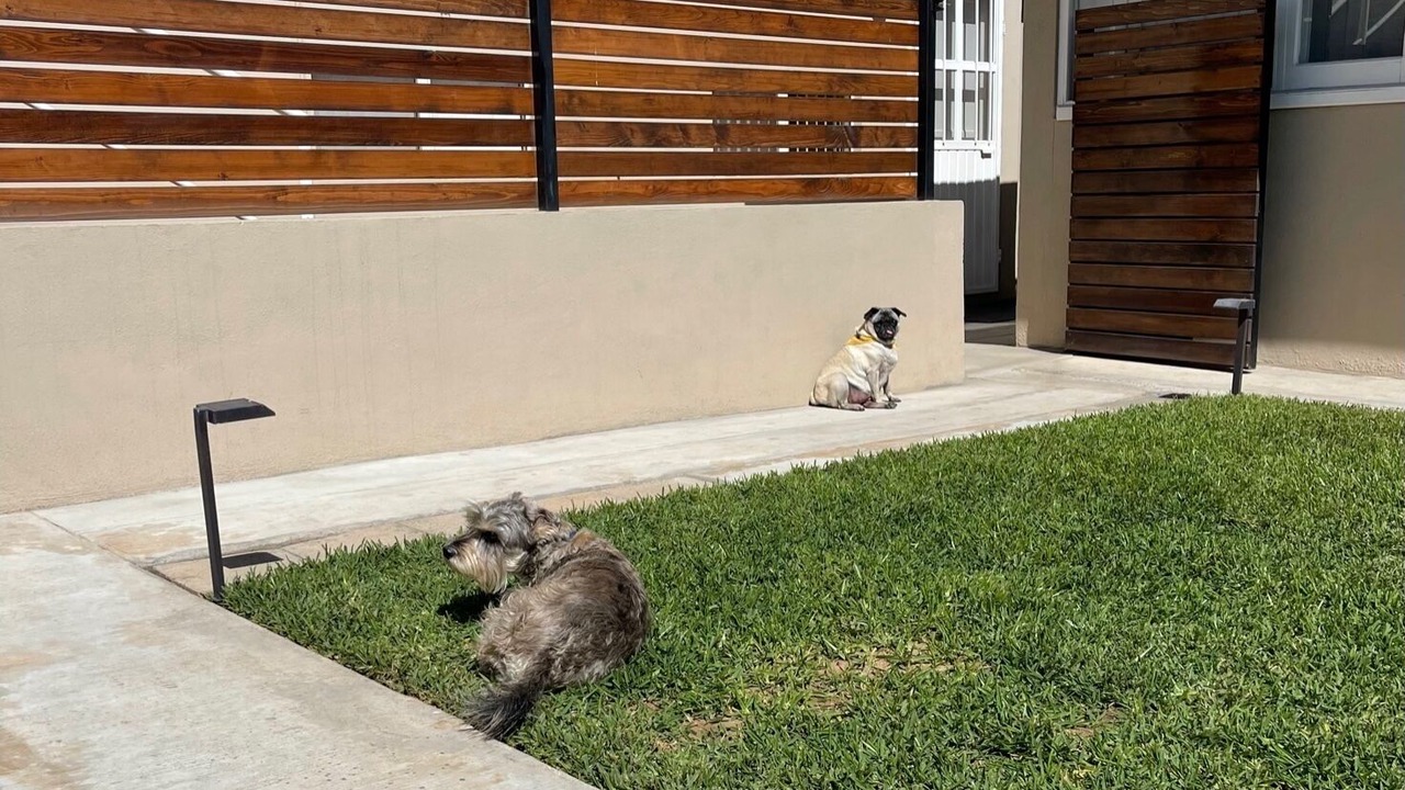 Photo of Outdoor in Ensenada