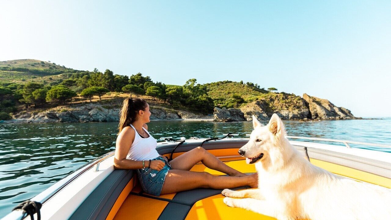 Photo of Others in Port-Vendres