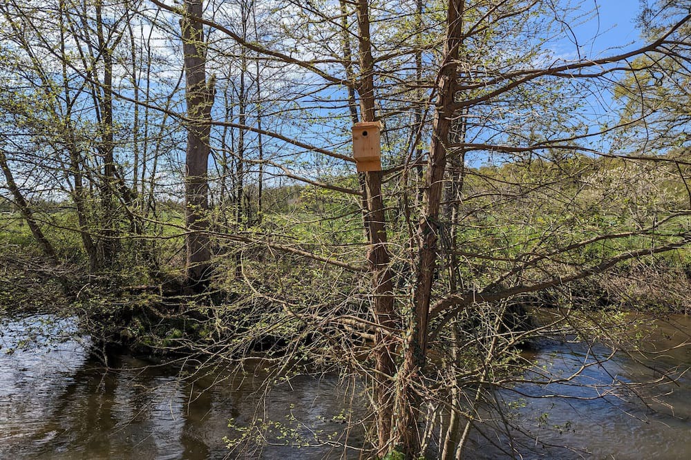 Photo of Outdoor in Ardentes