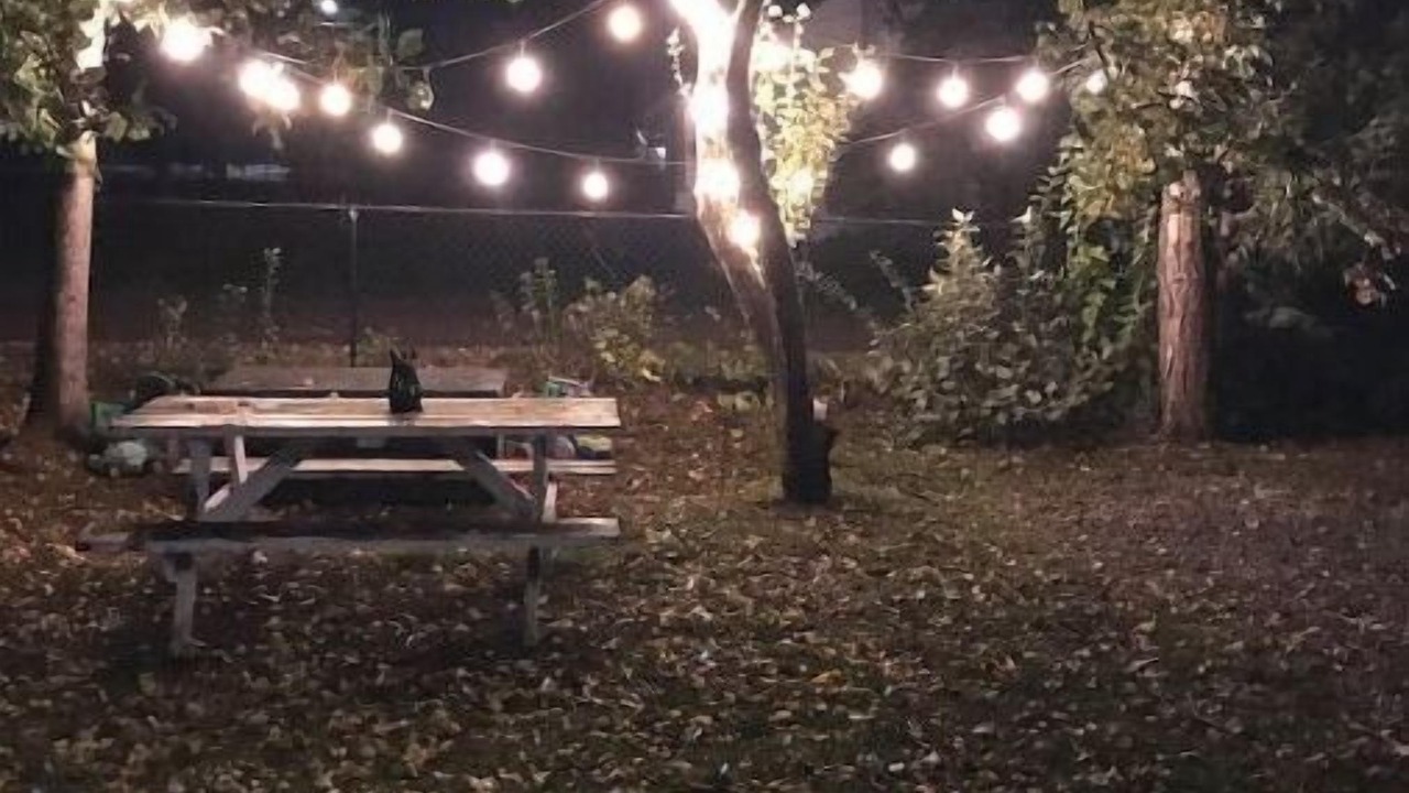 Photo of Outdoor in Georgina