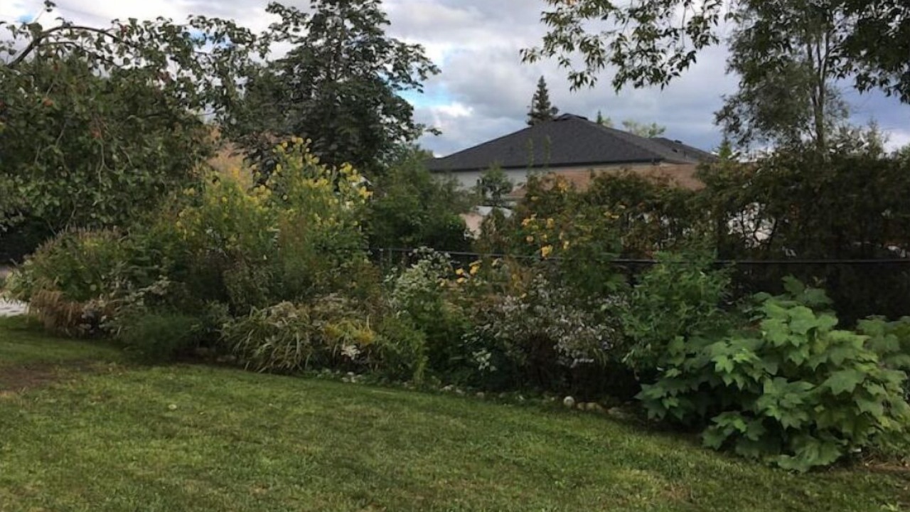 Photo of Outdoor in Georgina