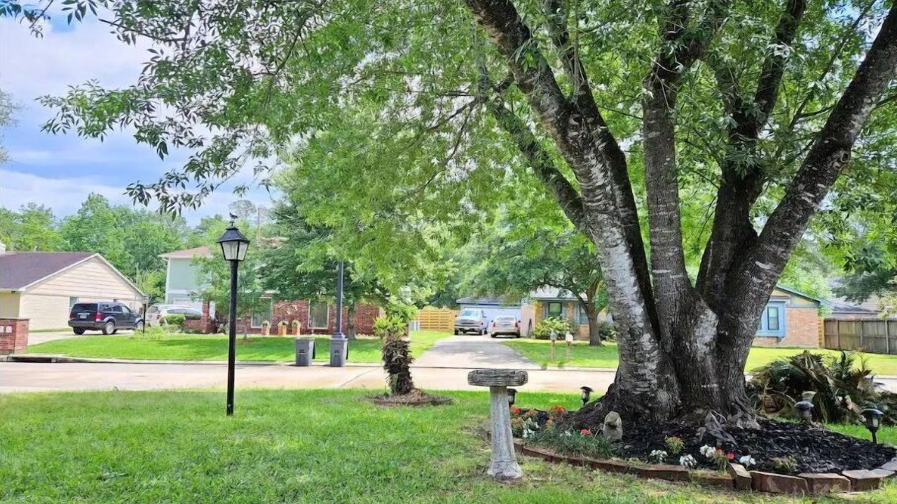 Photo of Outdoor in Shenandoah