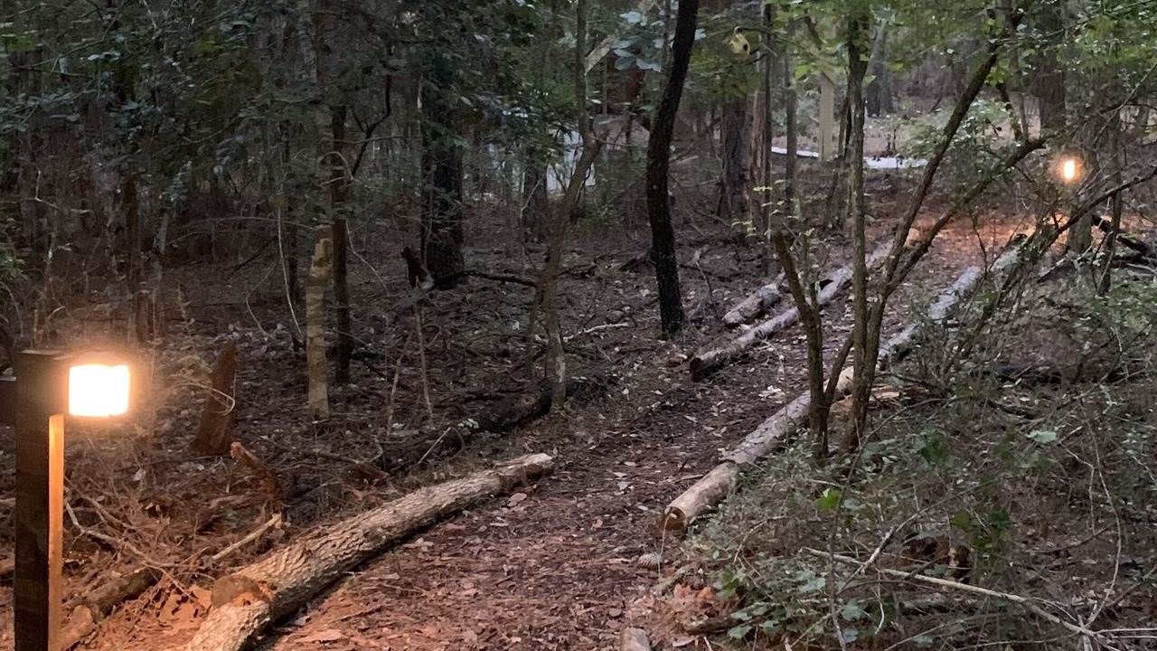 Photo of Outdoor in Hattiesburg