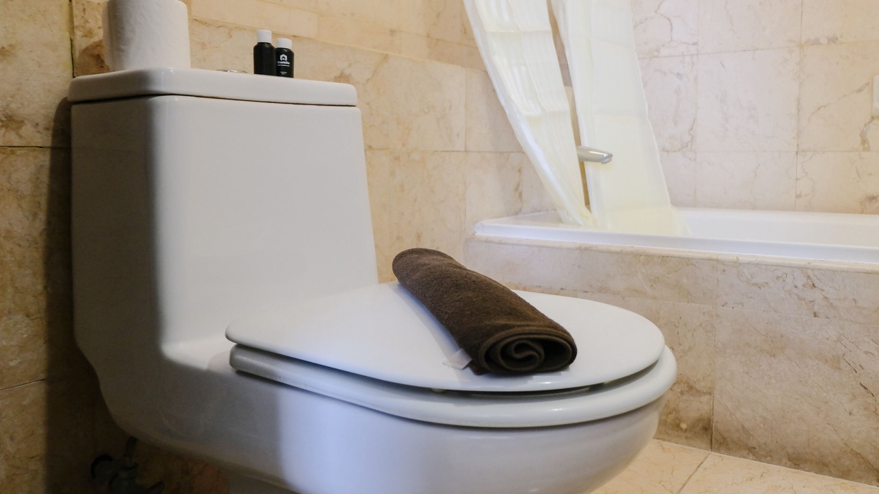 Photo of Bathroom in Braga