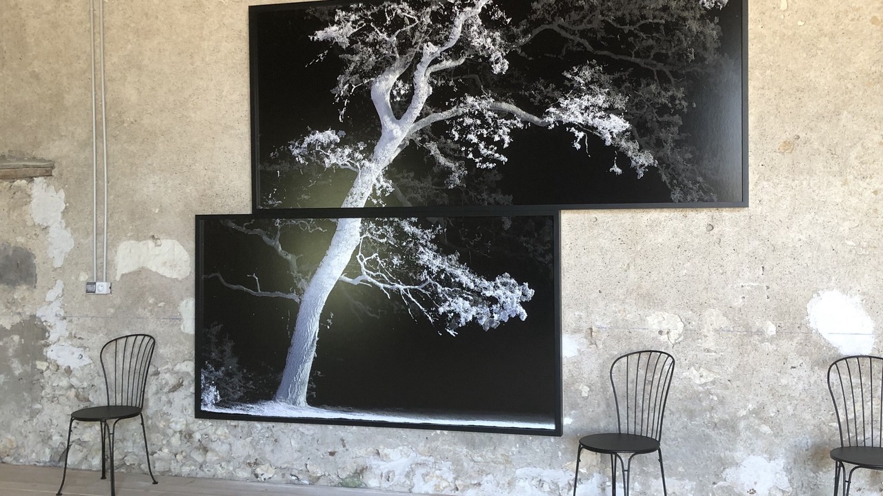 Photo of Others in Chaumont-sur-Loire