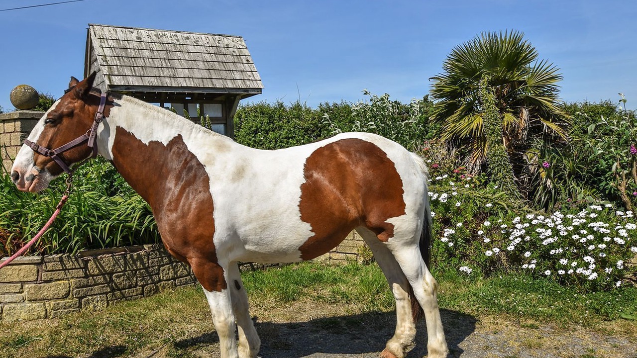 Photo of Outdoor in Mullion