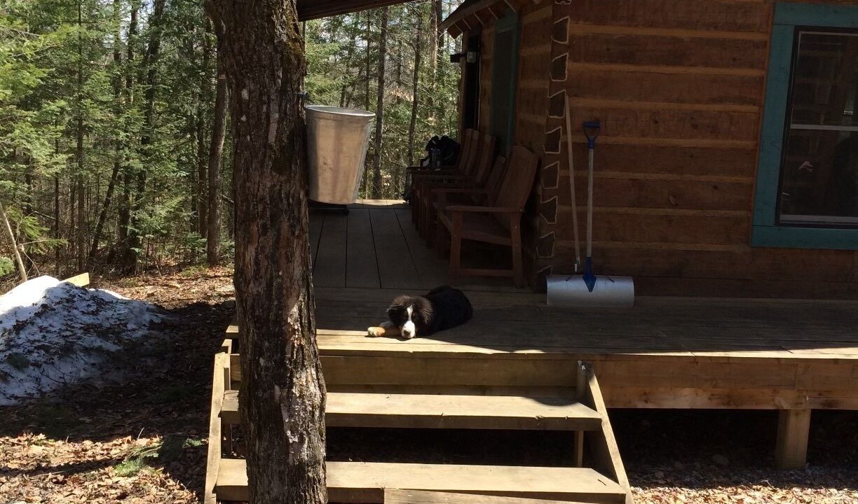 Photo of Outdoor in Labelle