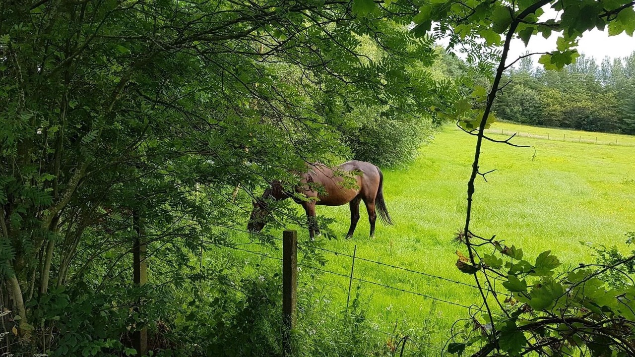 Photo of Outdoor in Tarbolton