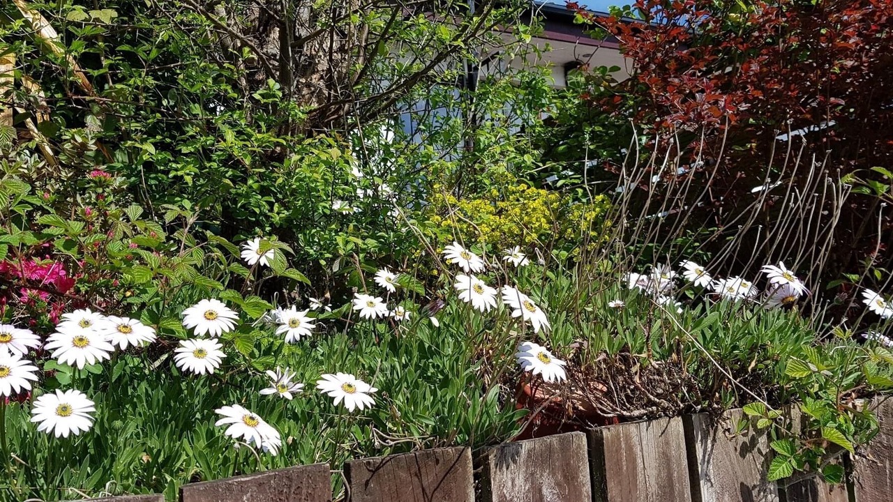 Photo of Outdoor in Tarbolton