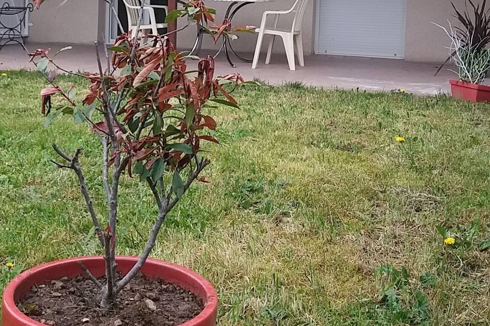 Photo of Outdoor in Pusignan