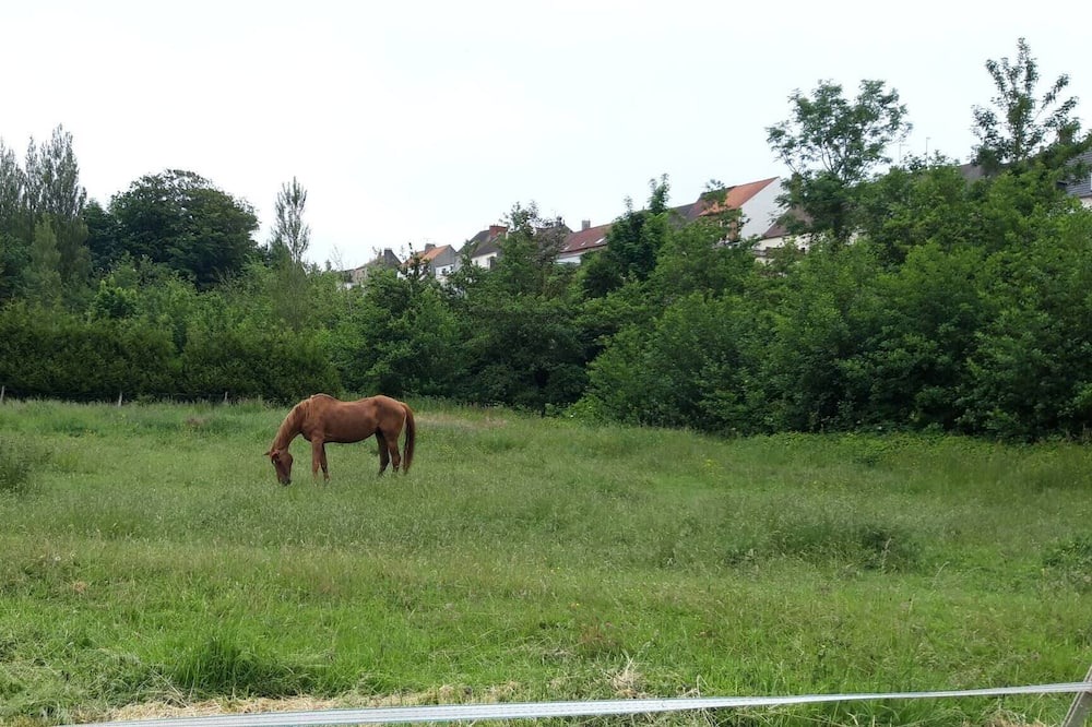 Photo of Outdoor in Marquise