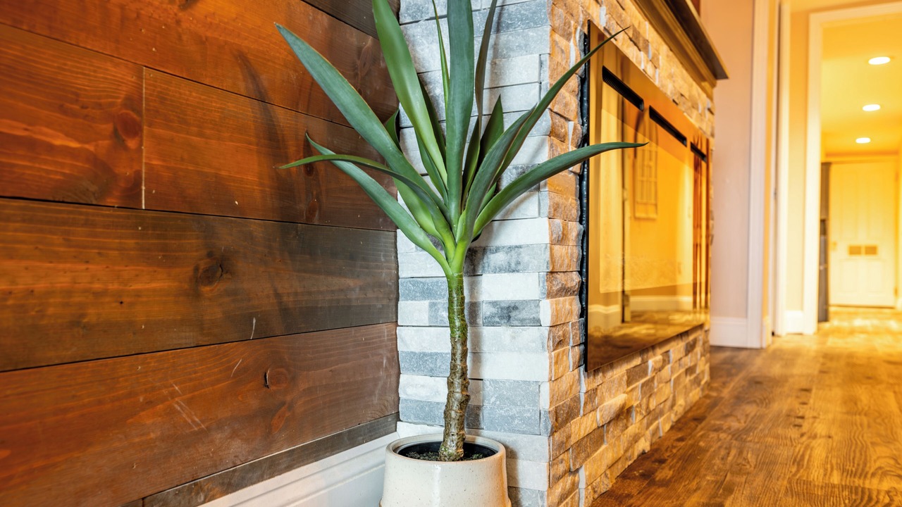 Photo of Livingroom in Downtown Harrisburg