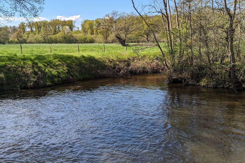 Photo of Others in Ardentes