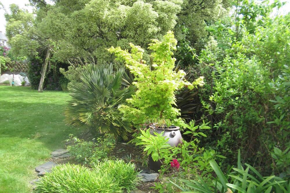 Photo of Outdoor in Pleurtuit