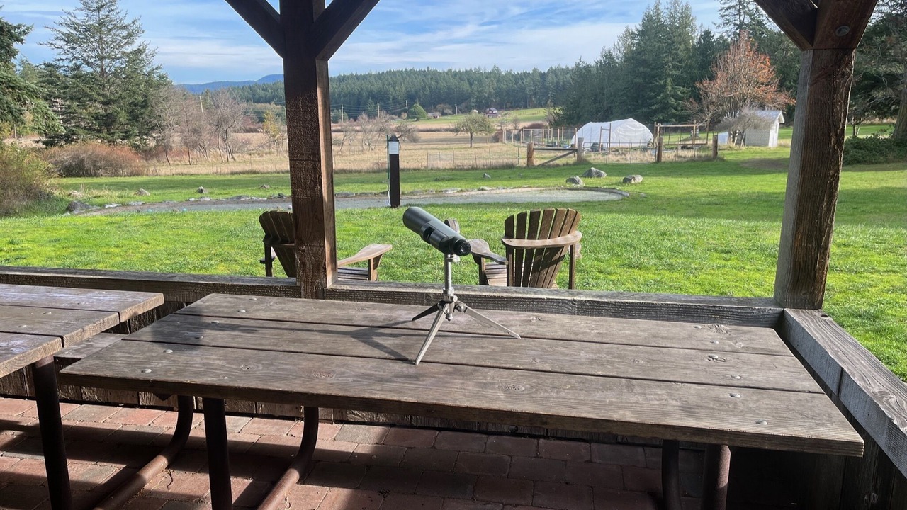 Photo of Others in Lopez Island