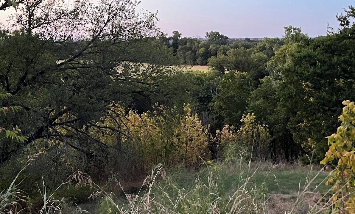 Photo of Others in Gatesville