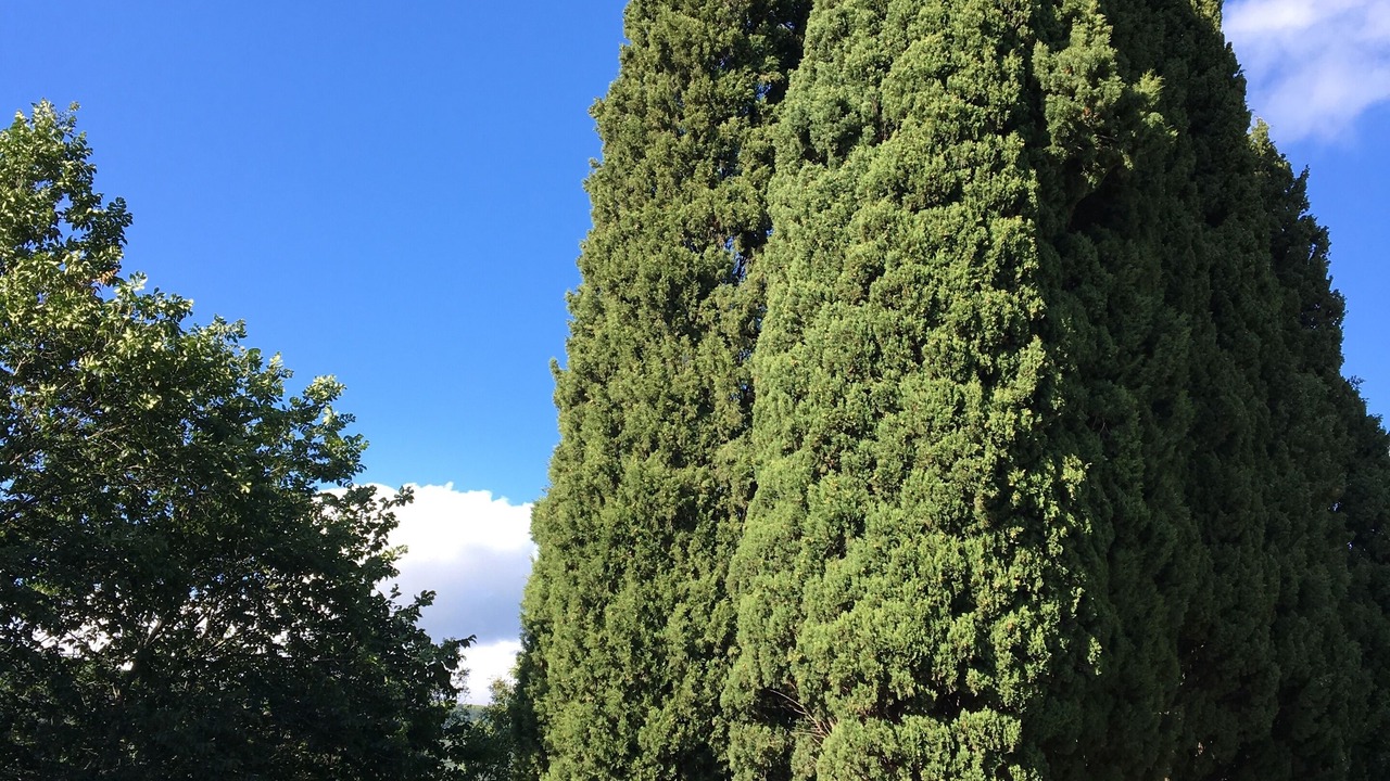Photo of Others in Labastide-Esparbairenque