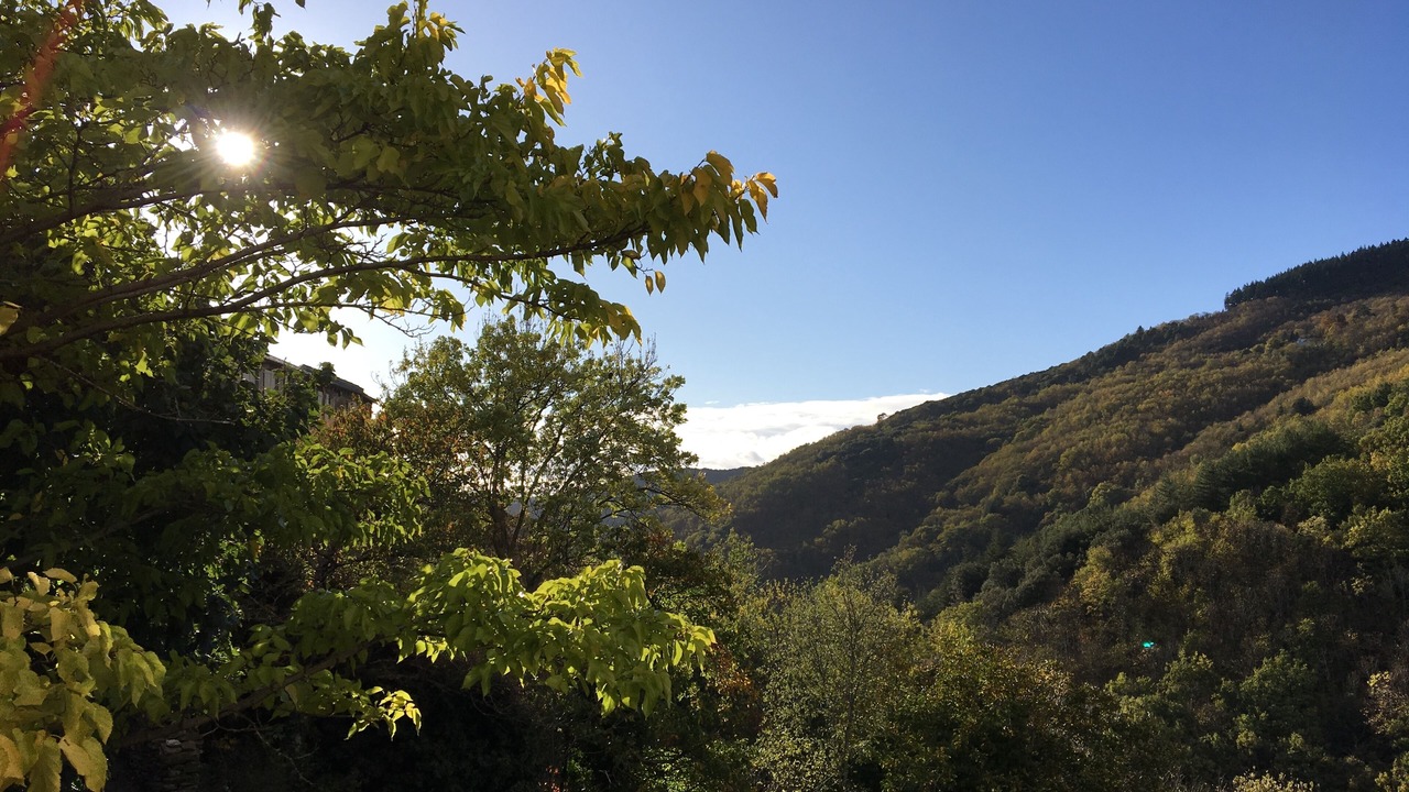 Photo of Outdoor in Labastide-Esparbairenque