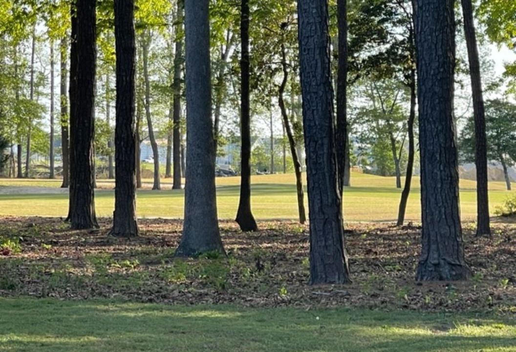 Photo of Others in Cape Charles