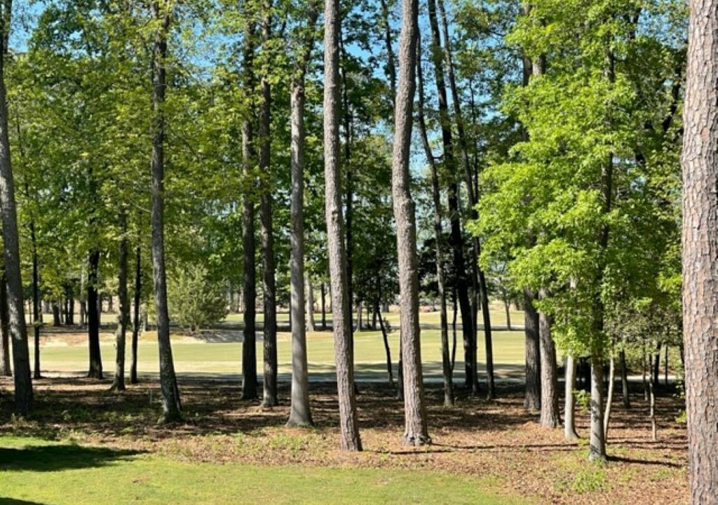 Photo of Outdoor in Cape Charles