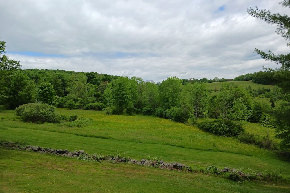 Photo of Outdoor in Bloomville